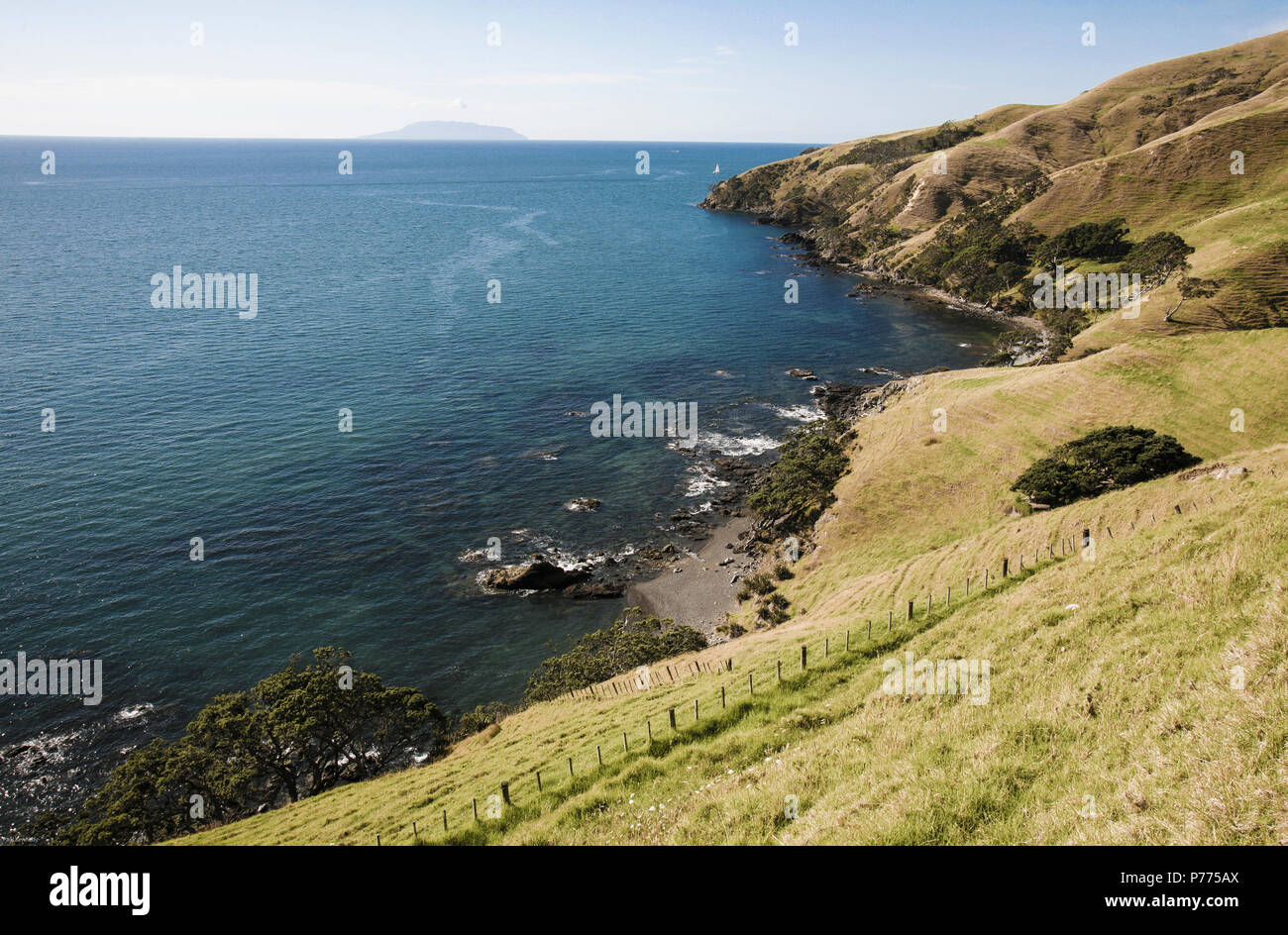 Malerische Küste in der Nähe von Colville auf der Halbinsel Coromandel, Neuseeland Stockfoto