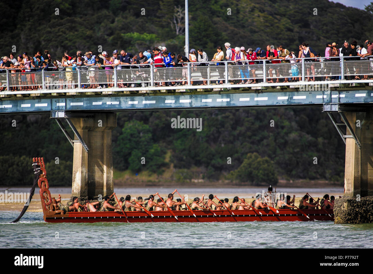 Maori warriors Paddel Waka Taua (Krieg Kanus) in Waitangi Day feiern in Waitangi, Neuseeland Stockfoto