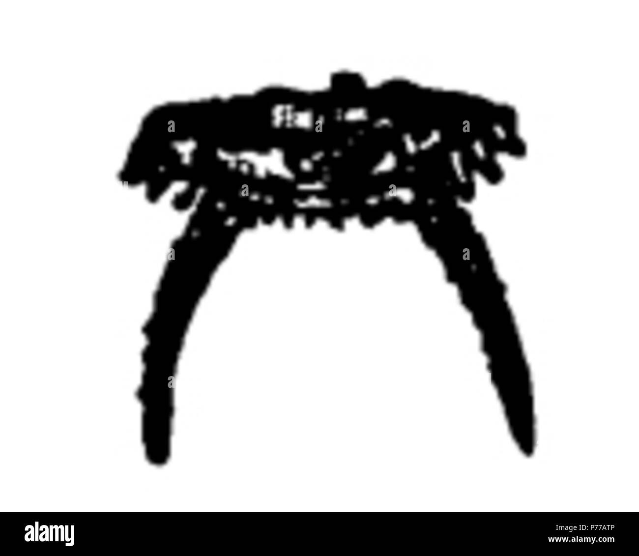 S. A. Miller: Einige neue Arten von Versteinerungen aus der Cincinnati Gruppe und Bemerkungen auf einige beschriebenen Formen. Cincinnati vierteljährliche Zeitschrift für Wissenschaft 2: 349, Abb. 24. 1875 17 Cincinnati Quart. J. Sci. 2 349 Abb. 24. Stockfoto