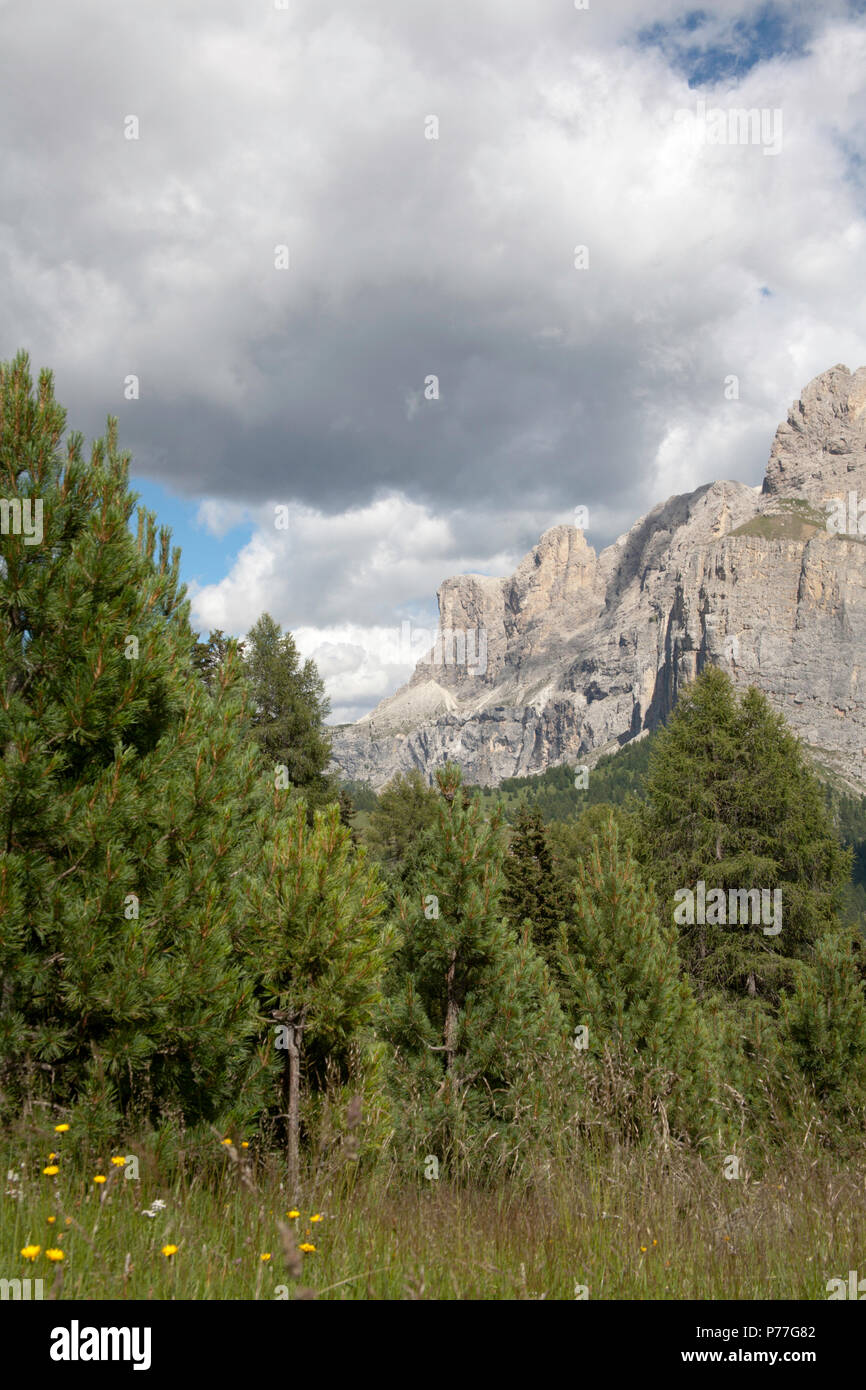 Cloud durch Campanili de Murfreit und Bindelturm T de Murfreitthe Sella Gruppe von Plan de Gralba Wolkenstein Gröden Dolomiten Italien Stockfoto