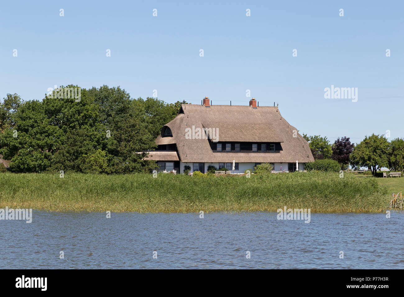 Reetgedeckte Haus In Der Nahe Von Wustrow Fischland Mecklenburg
