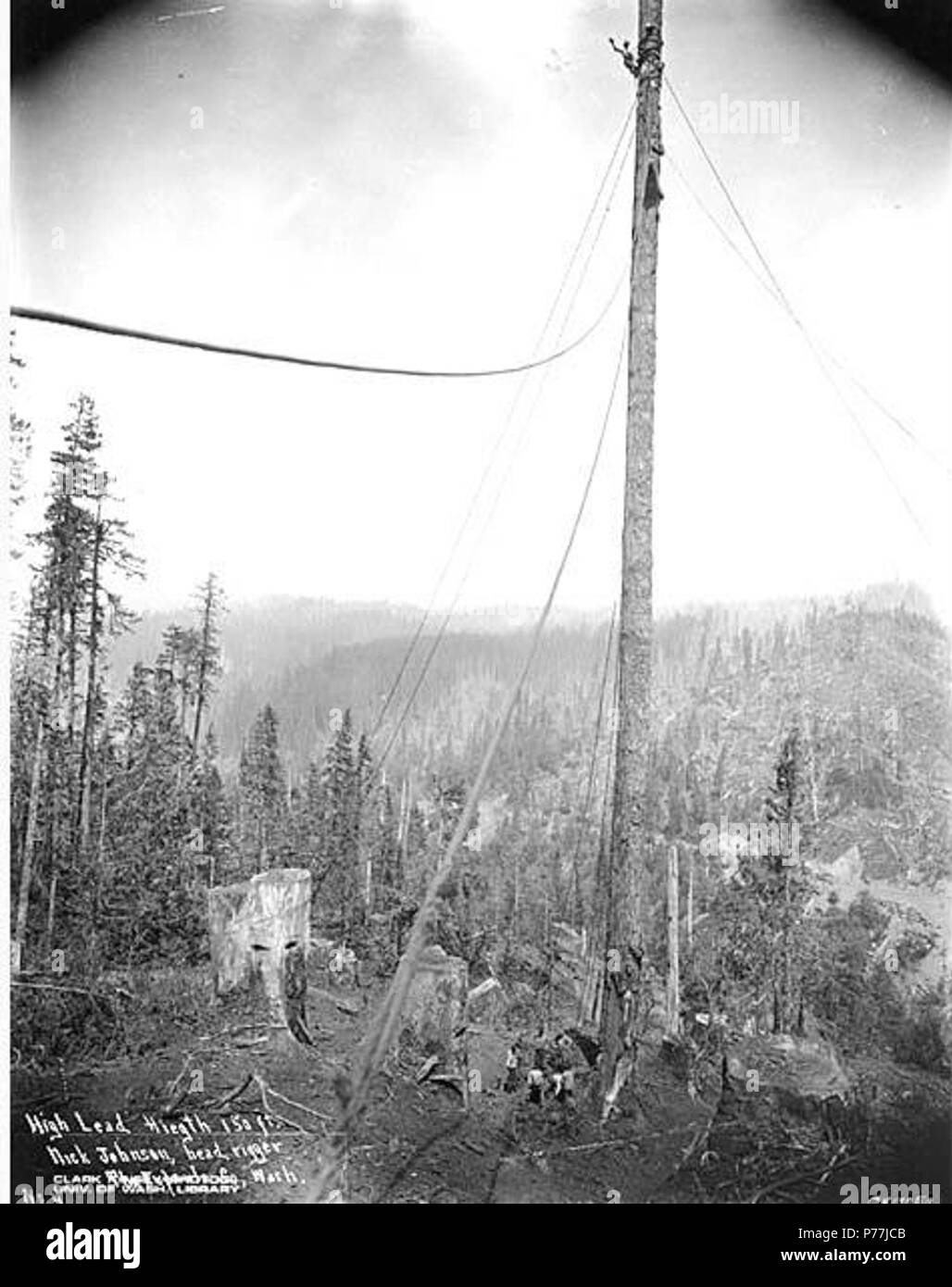 . Englisch: Rigging eine spartree, Eufaula Firma, Ca. 1921. Englisch: Legende auf Bild: hohe Leitung, Höhe 150 ft. Nick Johnson, Leiter rigger. Die Eufaula Co., Washington Nr. 4. CK 170 Fa PH-Coll 516.1174 Die Eufaula Unternehmen wurde im Geschäft kann. 1915 bis Ca. 1926. Eufaula ist ein ehemaliger logging Stadt, die jetzt praktisch zwei Meilen nördlich des Columbia River und vier Meilen nordwestlich von Longview in westlichen Cowlitz County verlassen. In den späten 1880er Jahren wurde die Stadt von Jefferson D. Brock, ein Angestellter eines Logging Company genannt, für seine Heimatstadt in Alabama. Themen (LCTGM): Baumstümpfe - Washington (State); Eufa Stockfoto