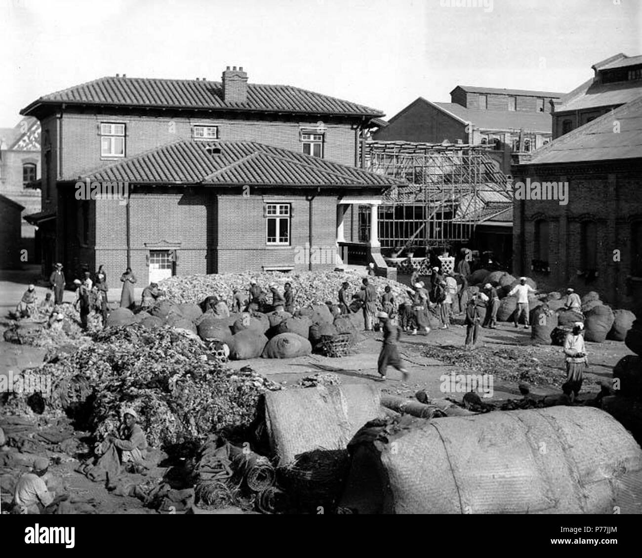 . Englisch: Sortieren von Wolle am Batonieff Chandless, und Unternehmen, Tianjin, China, Ca. 1905. Englisch: PH-Coll 214.5 Themen (LCTGM): Wolle Industrie - China - Tianjin Themen (LCSH): Chandless, Batonieff und Co. (Tianjin, China) - Mitarbeiter; Chandless, Batonieff und Co. (Tianjin, China) - Gebäude, Tianjin (China) - Gebäude, Strukturen, etc. ca. 1905 12 Sortierung wolle an Chandless, Batonieff und Unternehmen, Tianjin, China, ca 1905 (CHANDLESS 36) Stockfoto