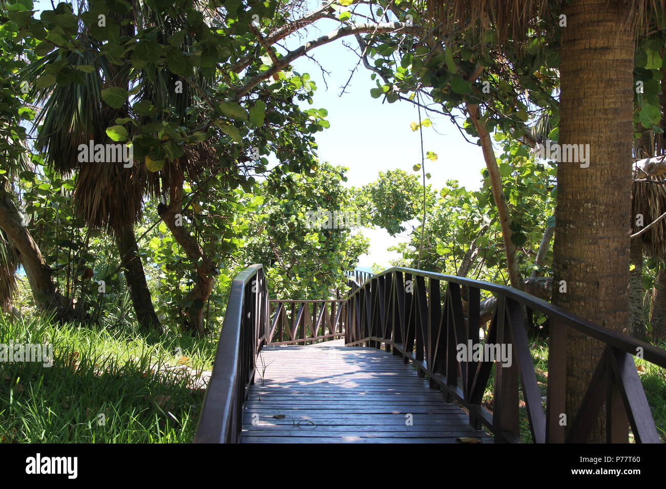 Holz- Straße durch den grünen Dschungel zu den blauen Meer Stockfoto