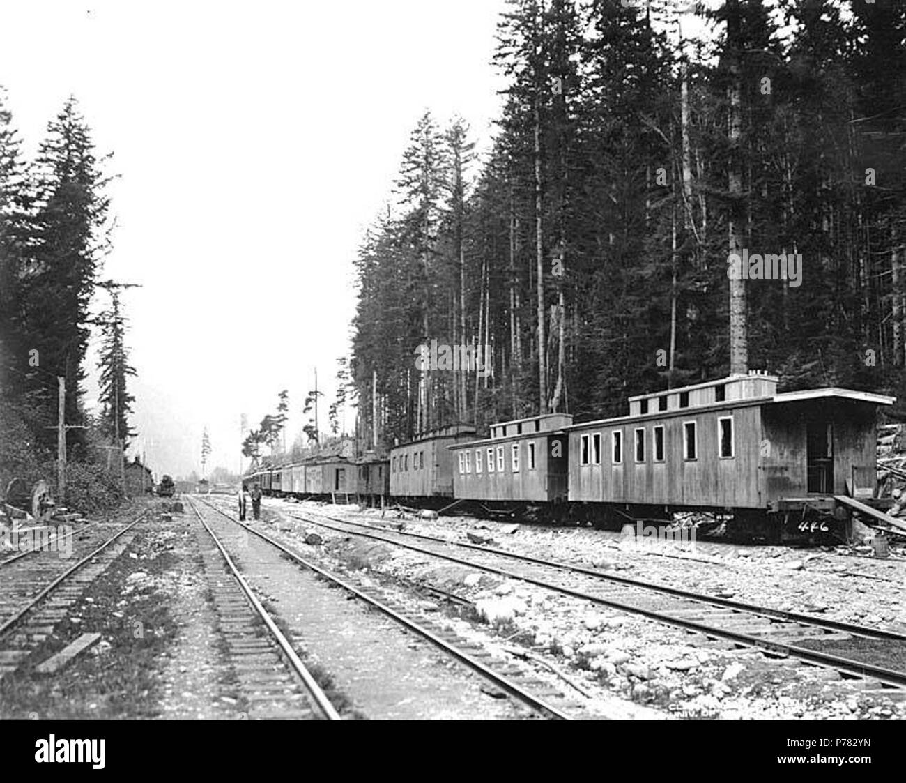 . Englisch: Railroad logging Camp, das Bunkhouse Autos im Vordergrund und Küche und Messe Autos in Distanz, Nordküste Timber Company, Ca. 1911. Englisch: Legende auf Bild: Nordküste Bauholz Co 446 PH Coll 516.2353 Nordküste Timber Company wurde im Geschäft kann. 1907 bis Ca. 1915, mit Protokollierung der Vorgänge an Kangley und dann im Maple Valley. Kangley ist eine Gemeinschaft, die auf einem kleinen Nebenfluss des Green River, 11 km nordöstlich von Issaquah im Südwesten King County. Es wurde von der Northern Pacific Railway für John kangley genannt, General Manager von Northern Pacific Coal Company in Stockfoto