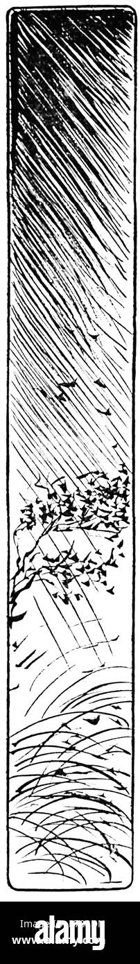 2 20 PL Niemojewski Andrzej - Legendy s20 Stockfoto