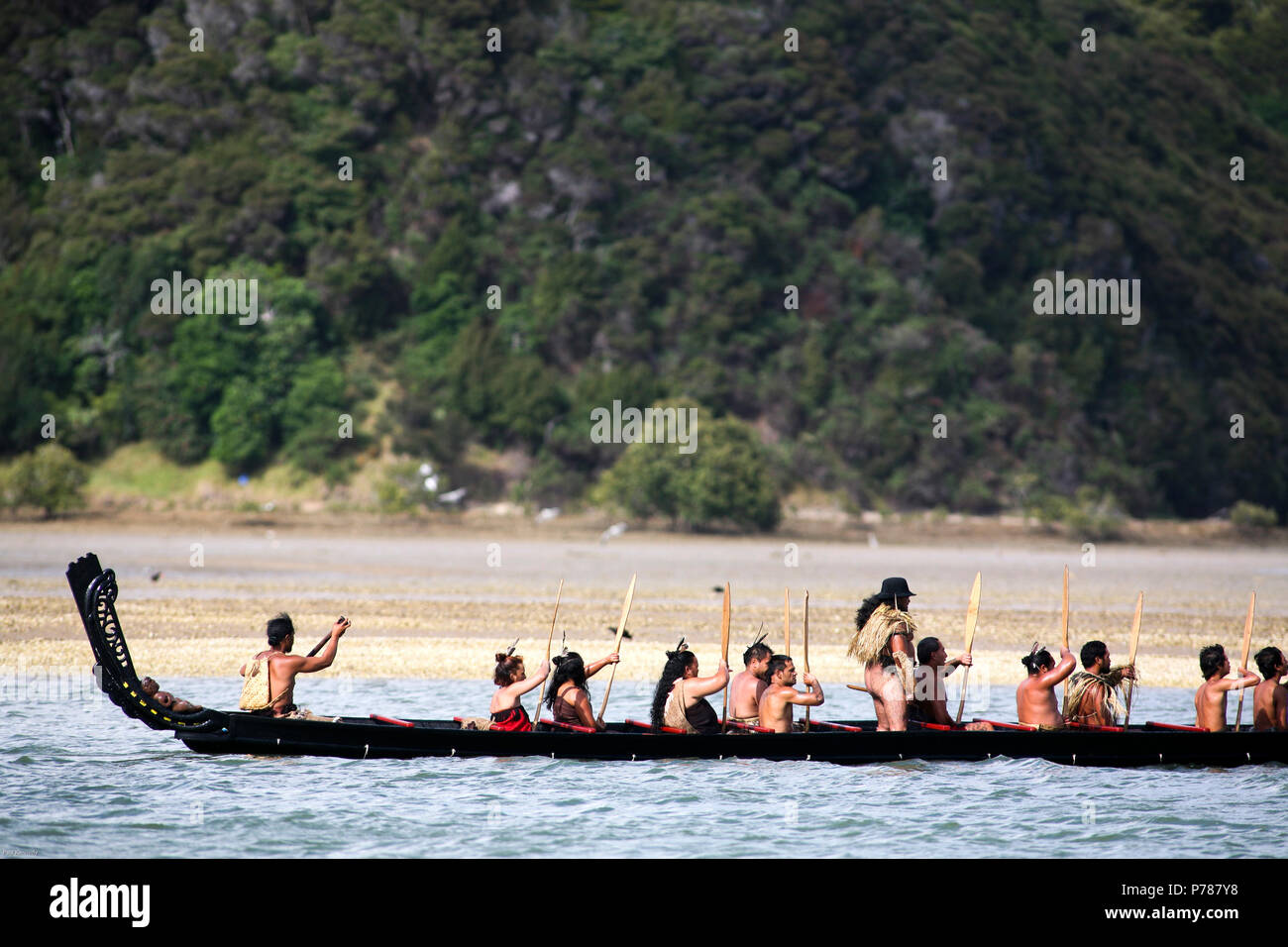 Maori Waka am Waitangi-Fluss in Waitangi, Neuseeland Stockfoto