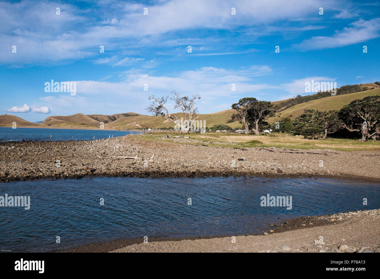 Port Jackson Strand auf der Coromandel Halbinsel, Neuseeland Stockfoto