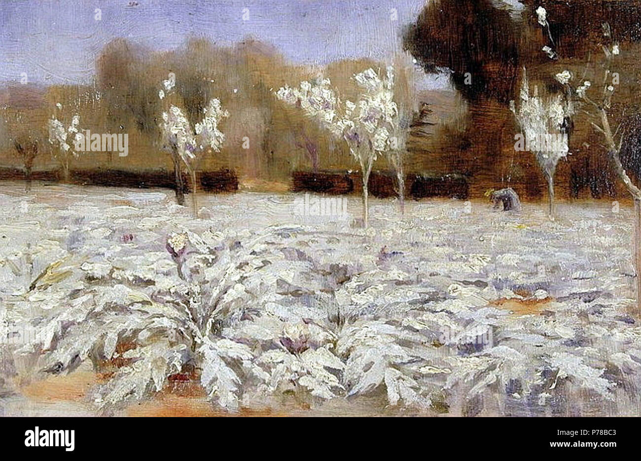 Artischocken Hyeres. 1883 48 Norman Garstin - Artischocken Hyeres 1883 Stockfoto