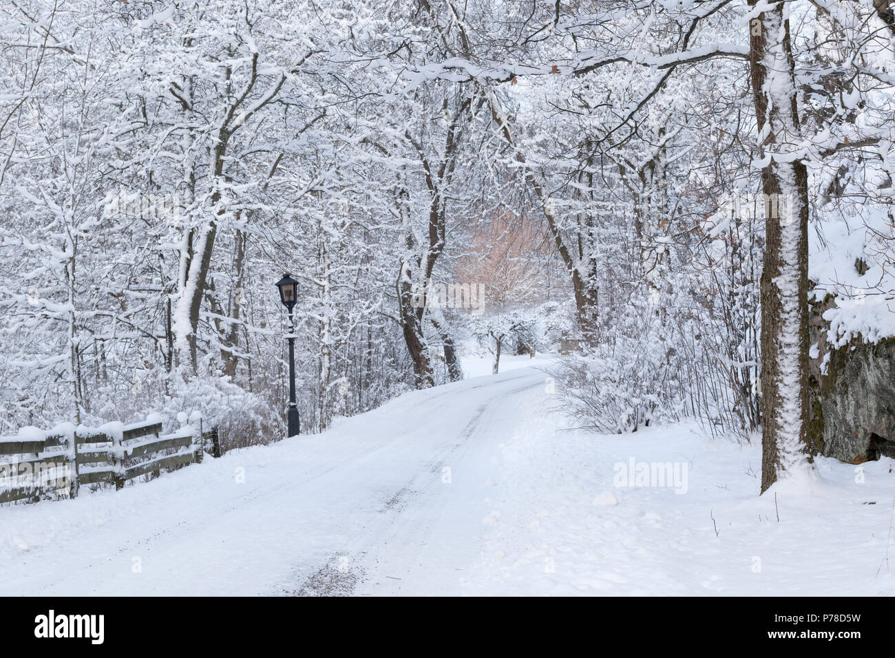 Winterdienst in der schwedischen Landschaft Stockfoto