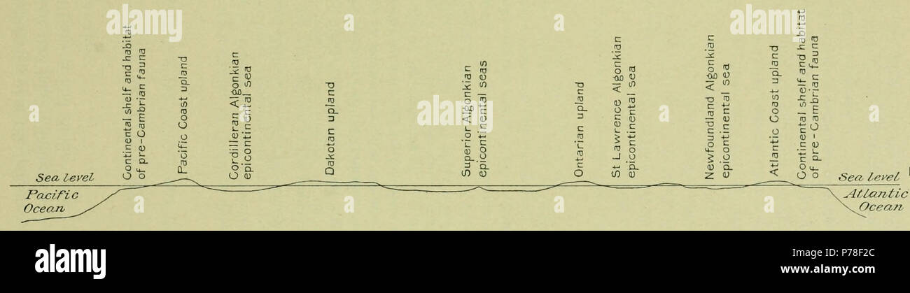 Text Abbildung 1. 1910 67 Walcott Kambrium Geologie und Paläontologie II text Abbildung 01. Stockfoto