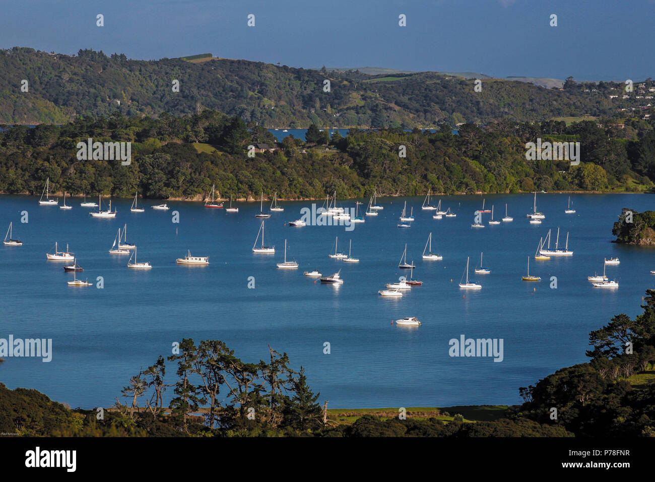 Yachten vor Anker in geschützten Buchten der Insel Waiheke im Hauraki Gulf, Auckland, Neuseeland Stockfoto