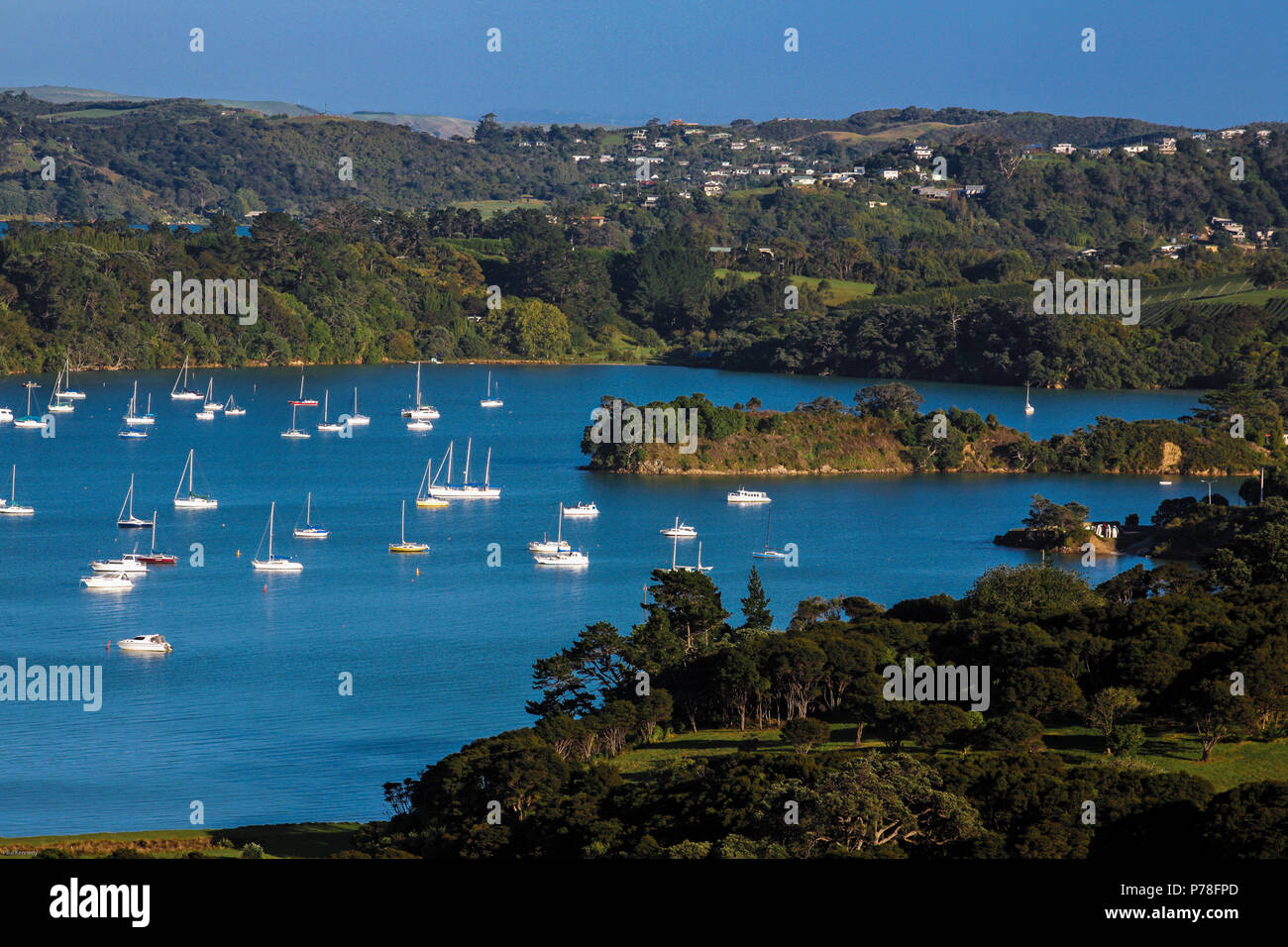 Yachten vor Anker in geschützten Buchten der Insel Waiheke im Hauraki Gulf, Auckland, Neuseeland Stockfoto
