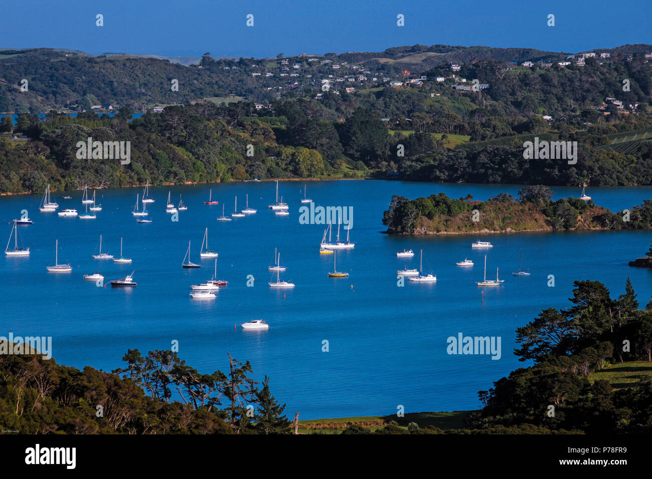Yachten vor Anker in geschützten Buchten der Insel Waiheke im Hauraki Gulf, Auckland, Neuseeland Stockfoto