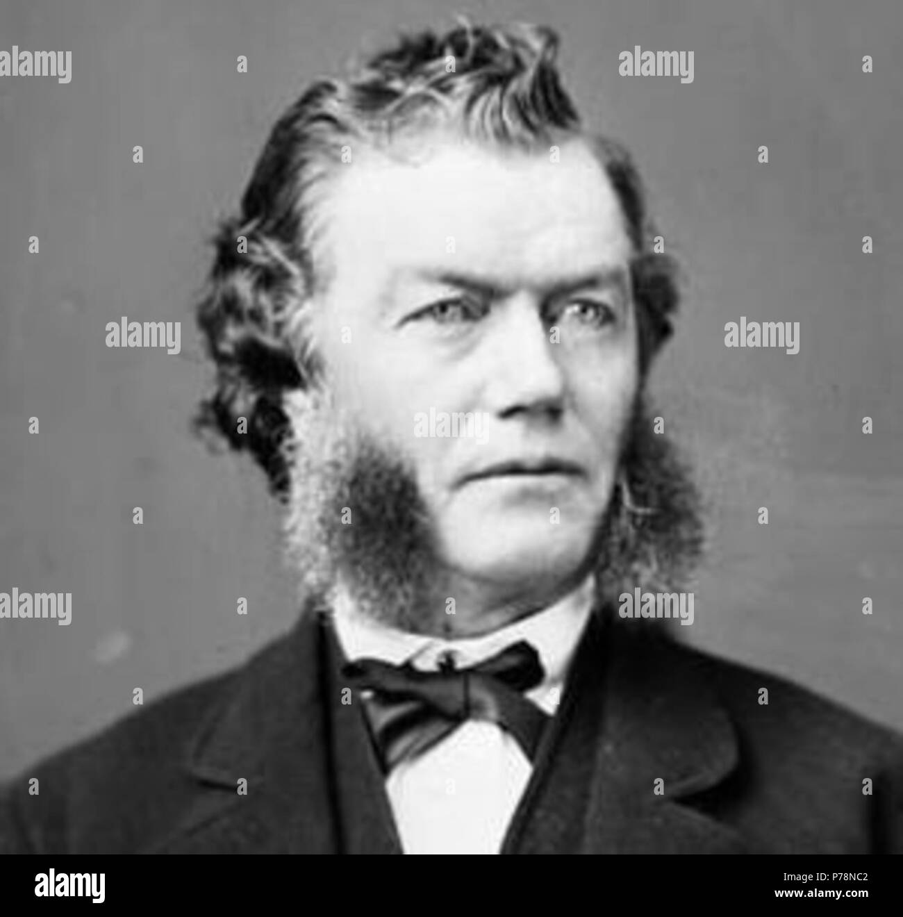 Brown, James M.P. (Hastings, W.), 1828 - 1897. Feb.1875/Ottawa, Ontario 4 JamesBrownMP 23. Stockfoto