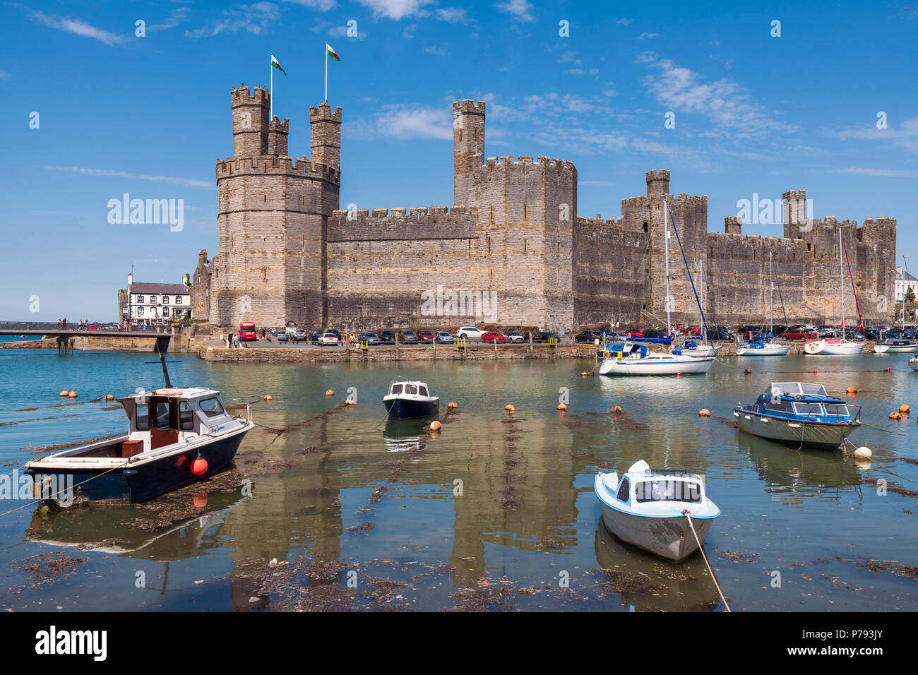 Caernarfon Castle Wales, UK. Sonnigen Tag im Sommer, mit Booten im Hafen. Stockfoto
