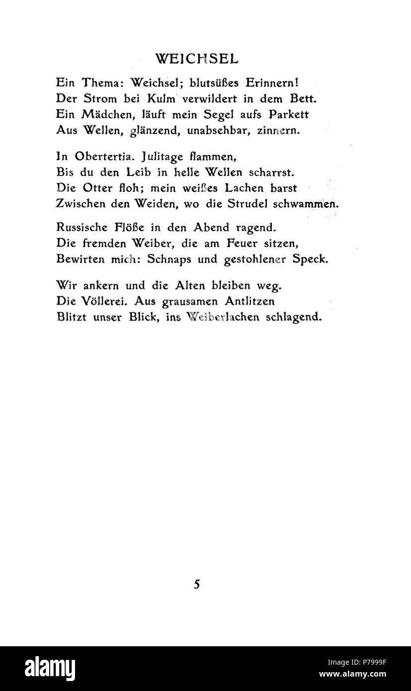 . Junge Pferde! Junge Pferde! N/A14 De Boldt - Junge Pferde, 05. Stockfoto