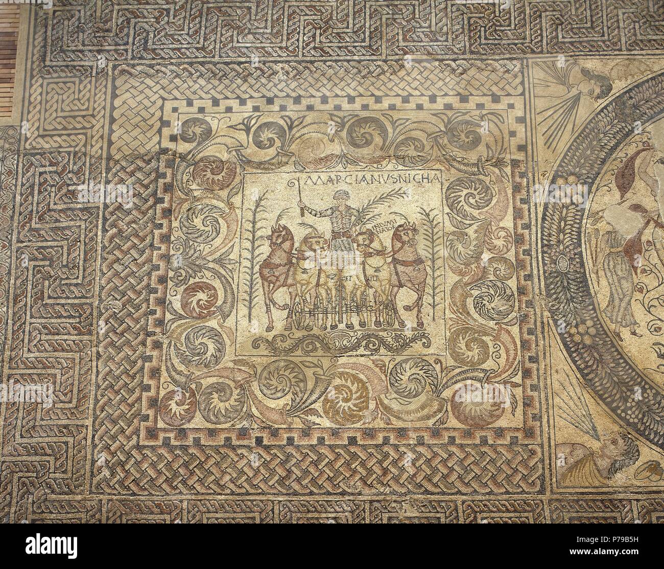 Aurigas Mosaik. 4. Jahrhundert. Die Victoriuos Wagenlenker Marcianus