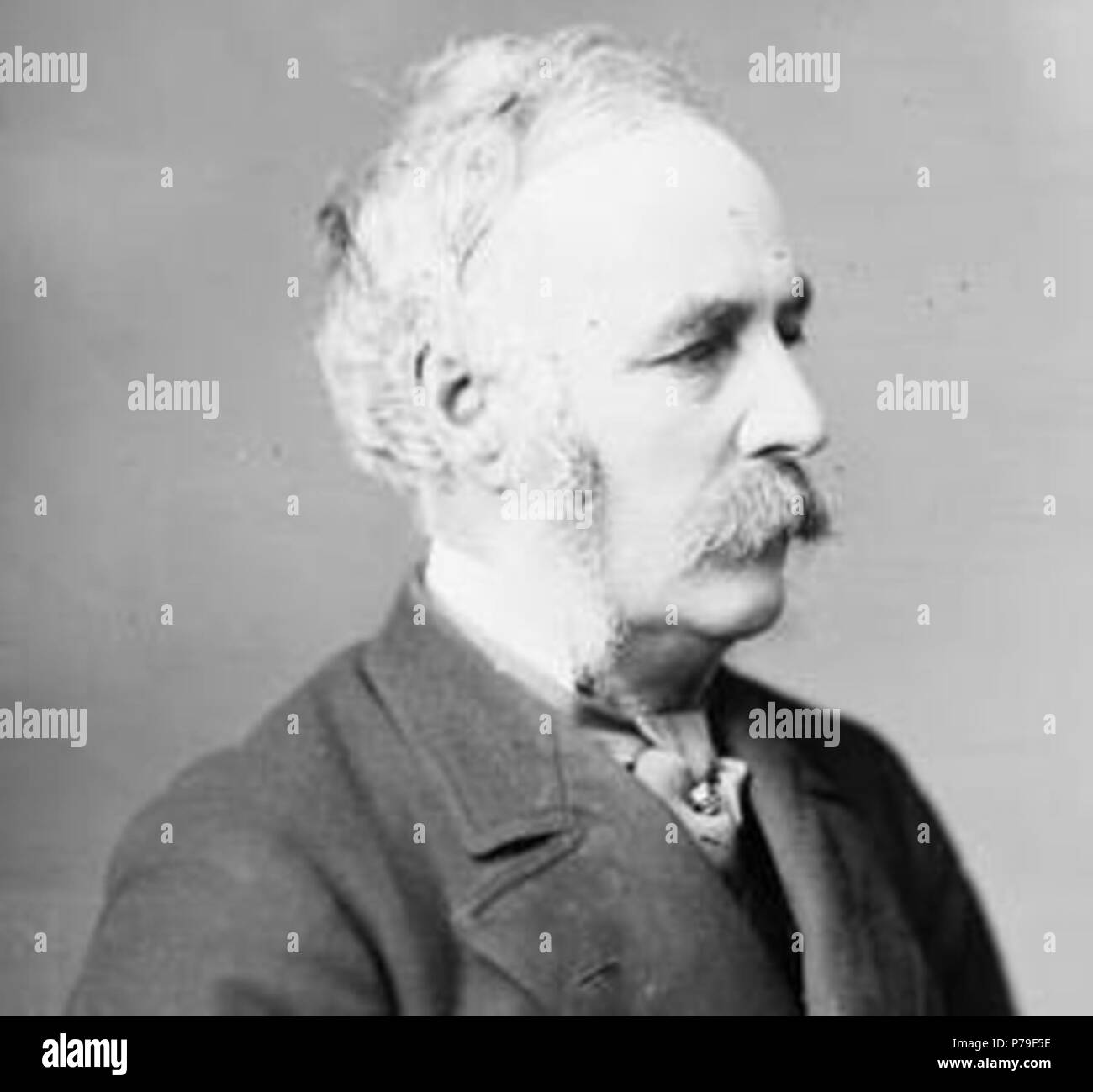 Jones, David, Ford M.P. (Leeds S., Ontario) 1818-1887. Mai 1879/Ottawa, Ontario 11 DavidFordJones 23. Stockfoto