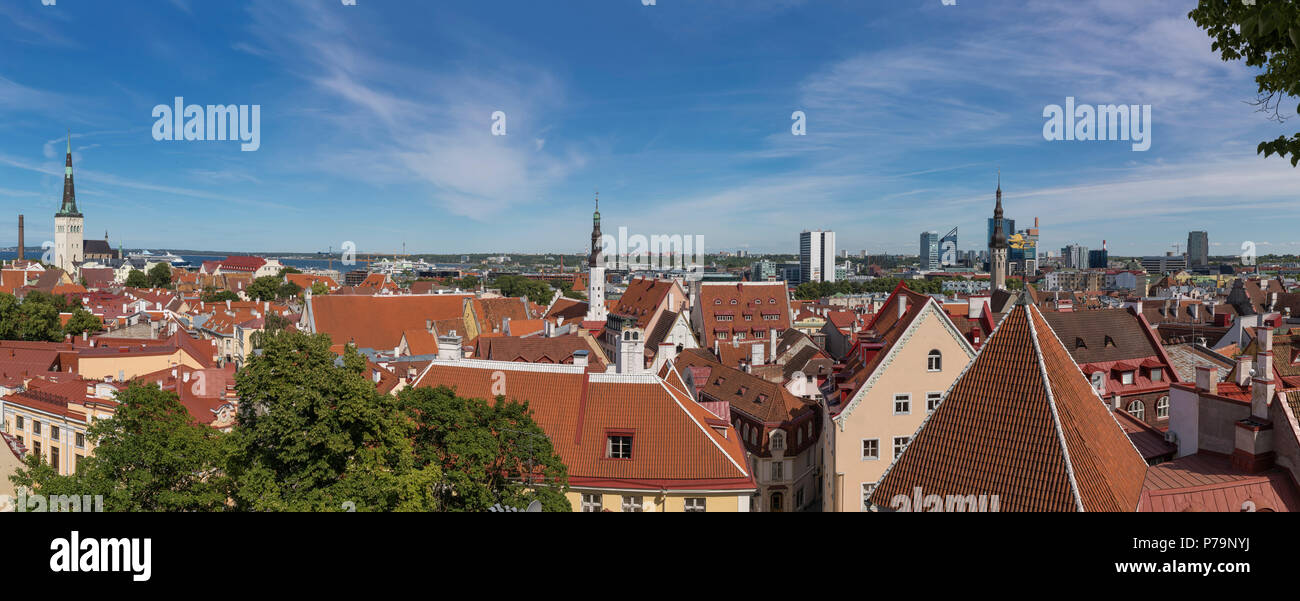 Luftbild der Altstadt von Tallinn, Hauptstadt von Estland Stockfoto