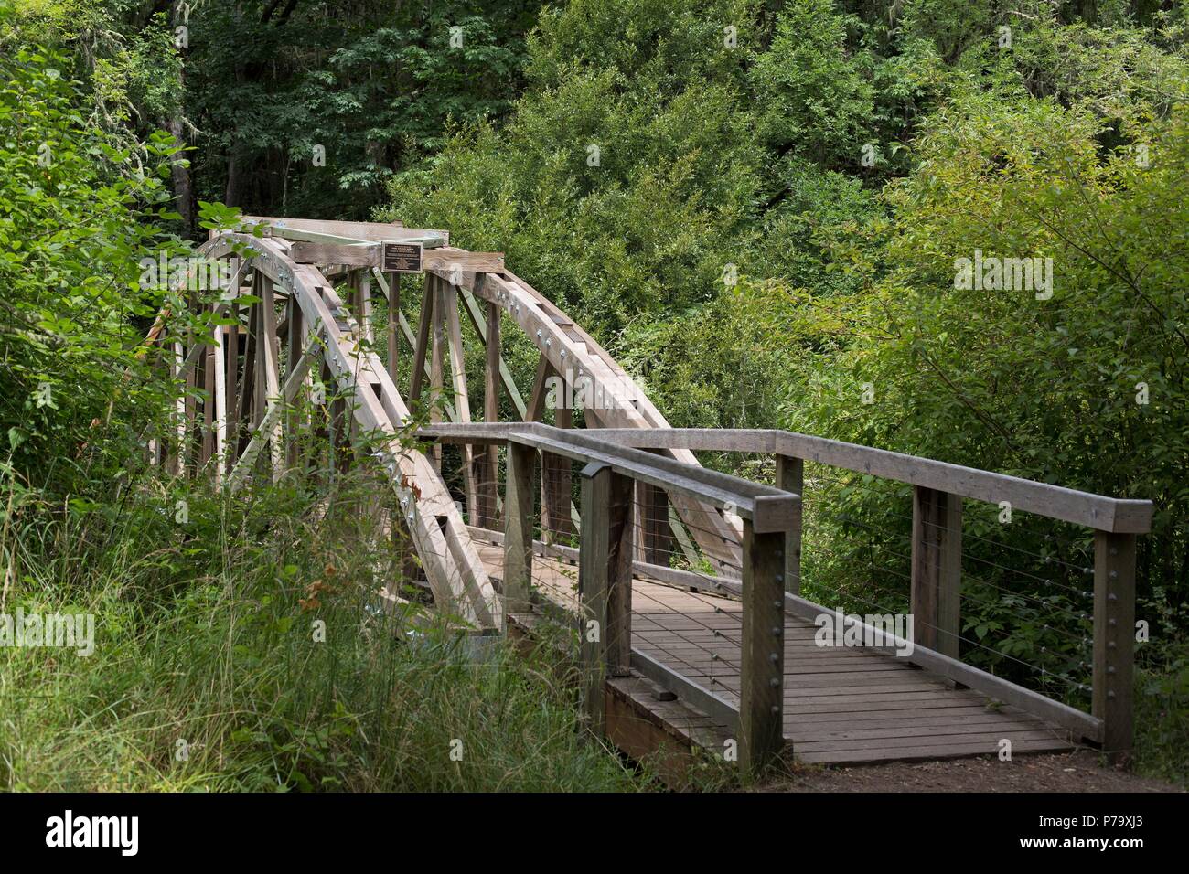 Ein Fuß-Brücke auf einem Wanderweg am Mount Pisgah Arboretum in Springfield, Massachusetts, USA. Stockfoto