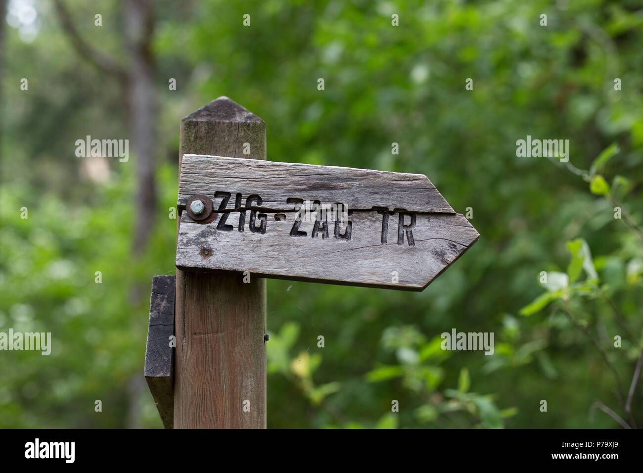 Eine lustige Zeichen für Zig Zag Trail, am Mount Pisgah Arboretum in Springfield, Massachusetts, USA. Stockfoto