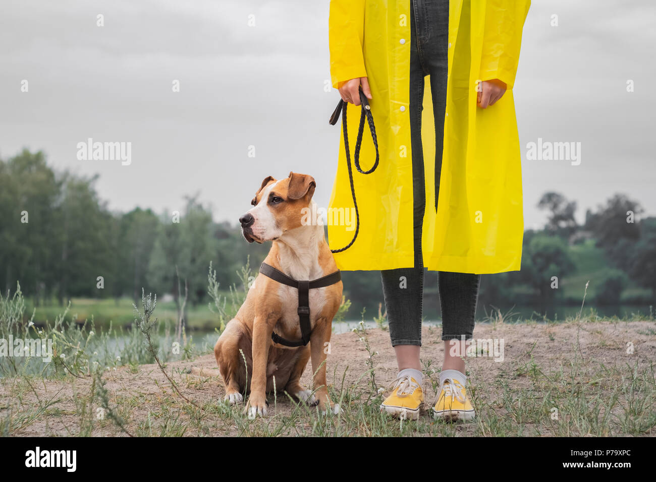 Frau im gelben Regenmantel und Schuhe geht der Hund im Regen an den städtischen Park in der Nähe der See. Stockfoto