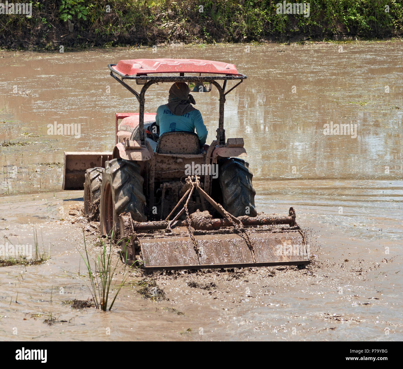 Traktor mit mit rotovator Vorbereitung überschwemmten Feld für Reis einpflanzen, Udon Thani, Isaan, Thailand Stockfoto