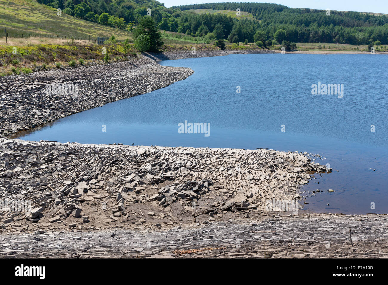 03. Juli 2018 - Kalb Hey Damm ist gering, Wasser zu werden nach ein paar Wochen der intensiven Hitze Stockfoto