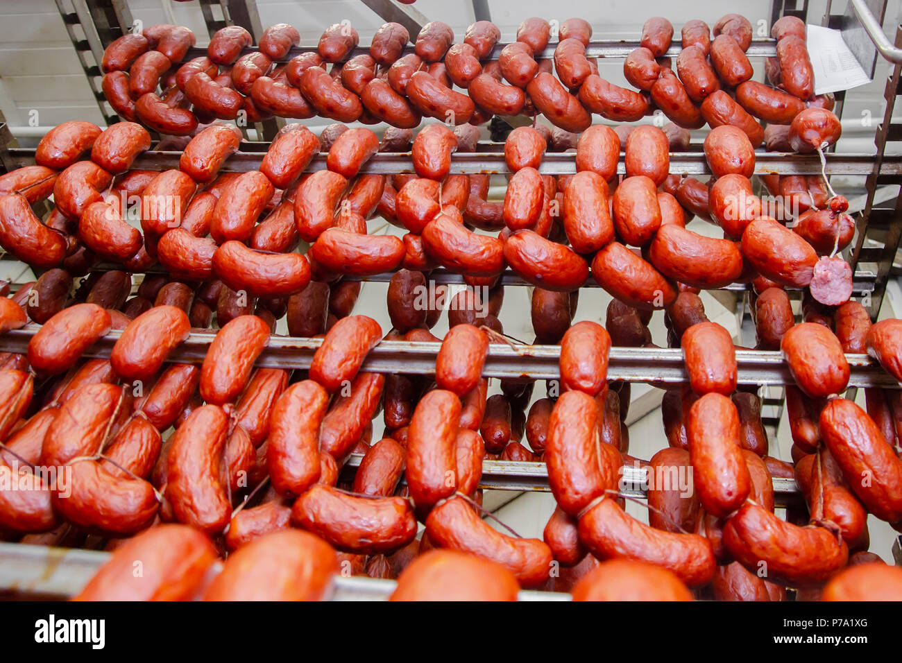 Wurst. Wurst Produktionslinie. Wurst auf dem Zähler für die räucherkammer. Die industrielle Herstellung von Würstchen. Stockfoto