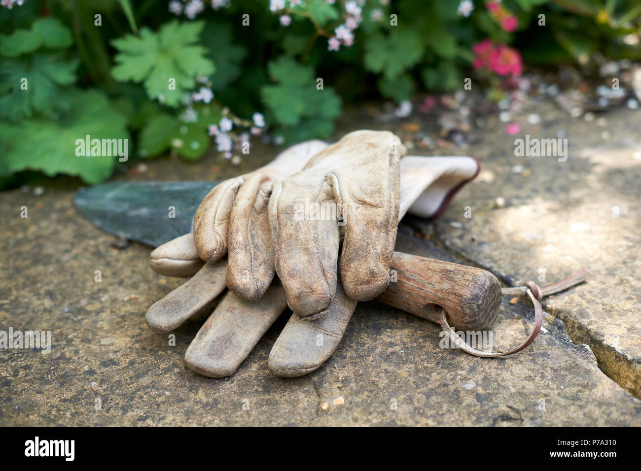 Leder Gartenhandschuhe und eine hölzerne behandelt Gartenarbeit Kelle auf einem Garten Wand im Sommer, UK. Stockfoto