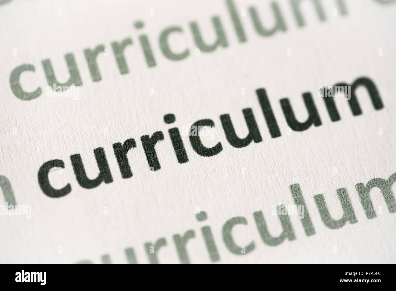 Wort Curriculum auf weißem Papier Makro gedruckt Stockfoto