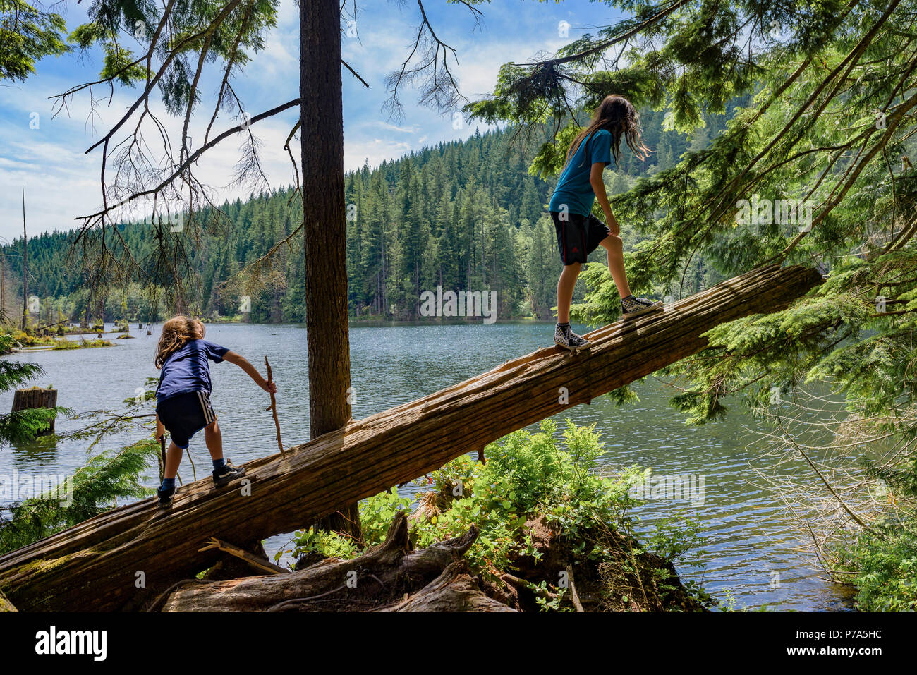Kleine Jungs klettern auf Anmelden, Buntzen Lake Recreation Area, in der Nähe von Anmore, British Columbia, Kanada Stockfoto