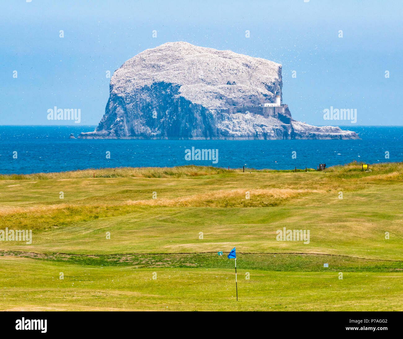 North Berwick, East Lothian, Schottland, Vereinigtes Königreich, 5. Juli 2018. Der Bass Rock, Heimat der größten Northern gannet Kolonie, strahlendem Weiß in der Sonne mit der Verschachtelung Tölpel und einer Masse von Seevögel um ihn herum fliegen an einem sonnigen Tag Sommer Stockfoto