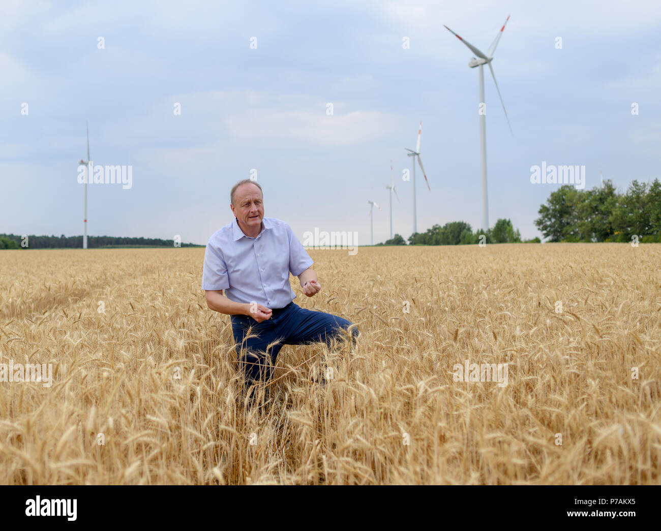 Trebbin, Deutschland. 05. Juli 2018. Joachim Rukwied, Präsident des Deutschen Bauernverbandes, dargestellt in einem Weizenfeld während einer Pressekonferenz auf der Start der Getreide und Raps Ernte in Brandenburg. Foto: Patrick Pleul/dpa-Zentralbild/ZB/dpa/Alamy leben Nachrichten Stockfoto