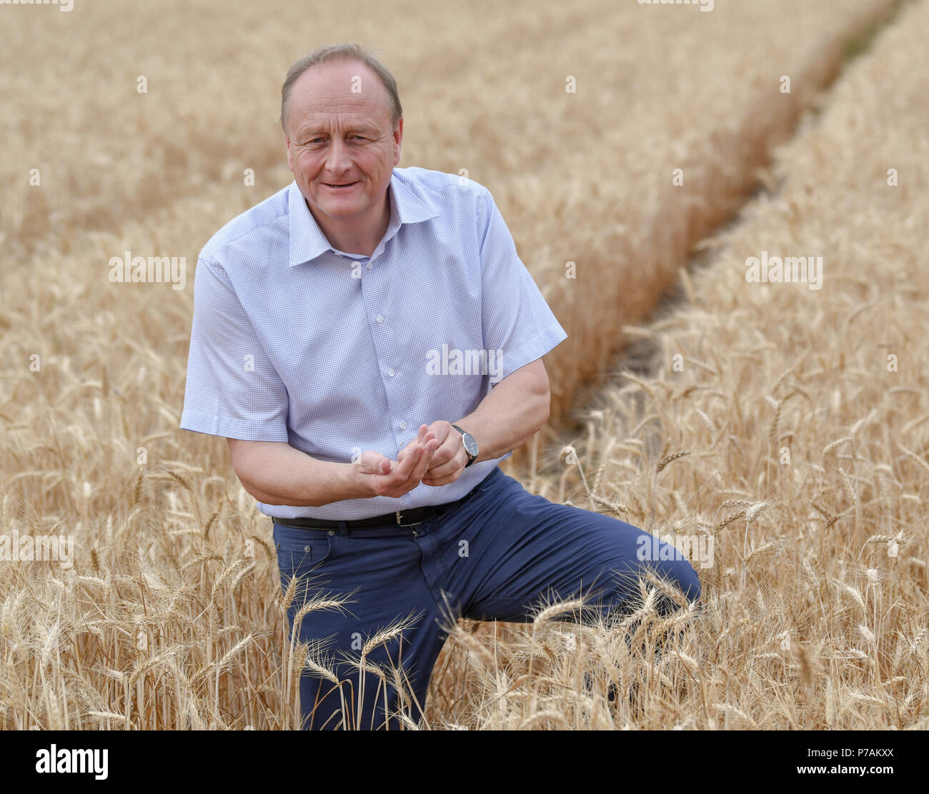 Trebbin, Deutschland. 05. Juli 2018. Joachim Rukwied, Präsident des Deutschen Bauernverbandes, dargestellt auf einer Presseveranstaltung am Beginn der Getreide und Raps Ernte in Brandenburg. Foto: Patrick Pleul/dpa-Zentralbild/ZB/dpa/Alamy leben Nachrichten Stockfoto