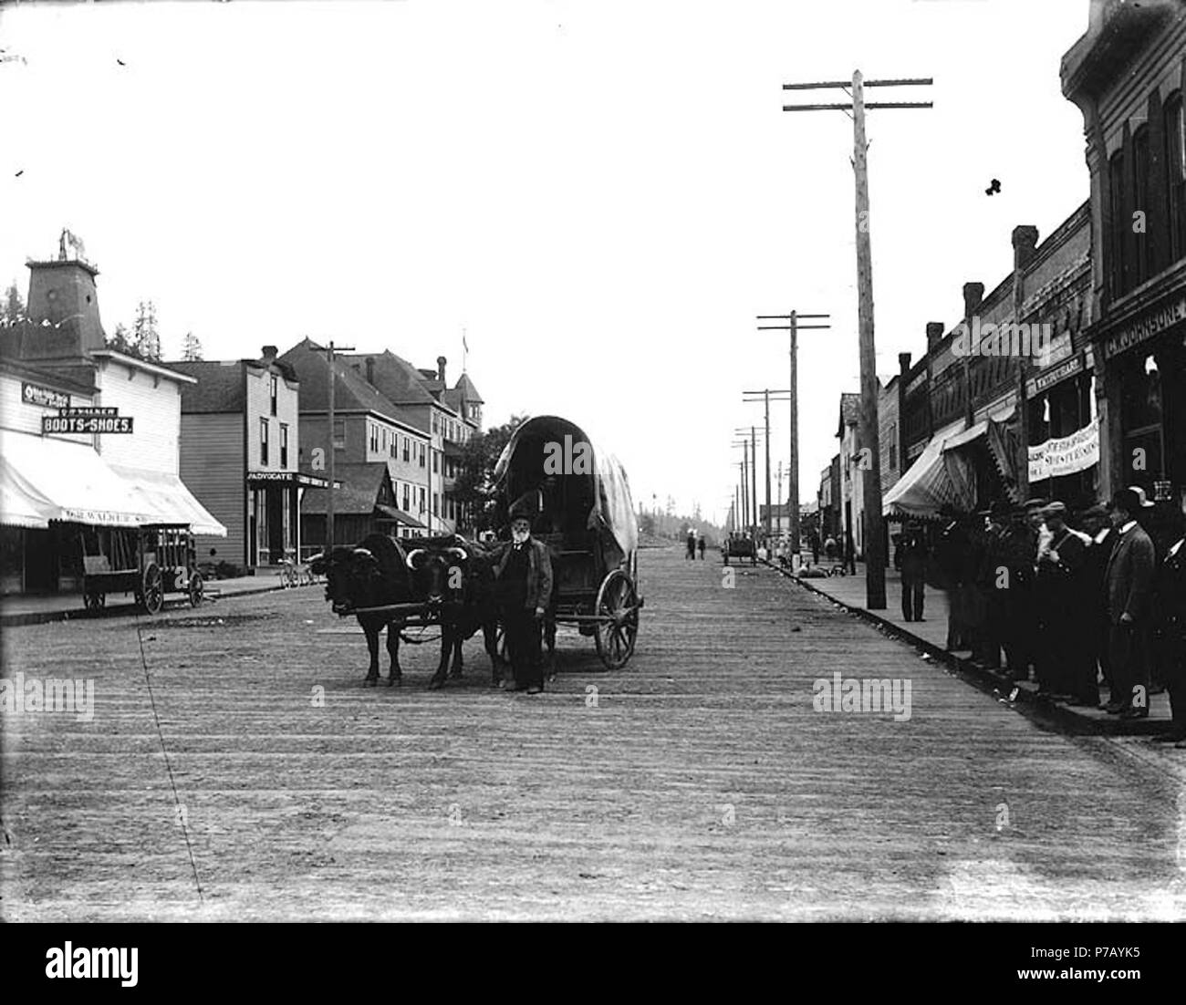 . Englisch: Mann, wahrscheinlich Esra Meeker, führenden Planwagen und zwei Ochsen, Olympia, Ca. 1915. Englisch: Auf der Hülse der Negativen: Stadt. Planwagen. Themen (LCTGM): Ox Mannschaften - Washington (State) - Olympia; Gedeckte Wagen - Washington (State) - Olympia; Straßen-- Washington (State) - Olympia; Unternehmen - Washington (State) - Olympia; Vieh-- Washington (State) - Olympia; Karren & Wagen - Washington (State) - Olympia Themen (LCSH): Meeker, Esra, 1830-1928; Ochsen - Washington (State); Olympia (Washington) - Gebäude, Strukturen, etc. ca. 1915 54 Mann, wahrscheinlich Esra Meeker, überdachte führenden Stockfoto