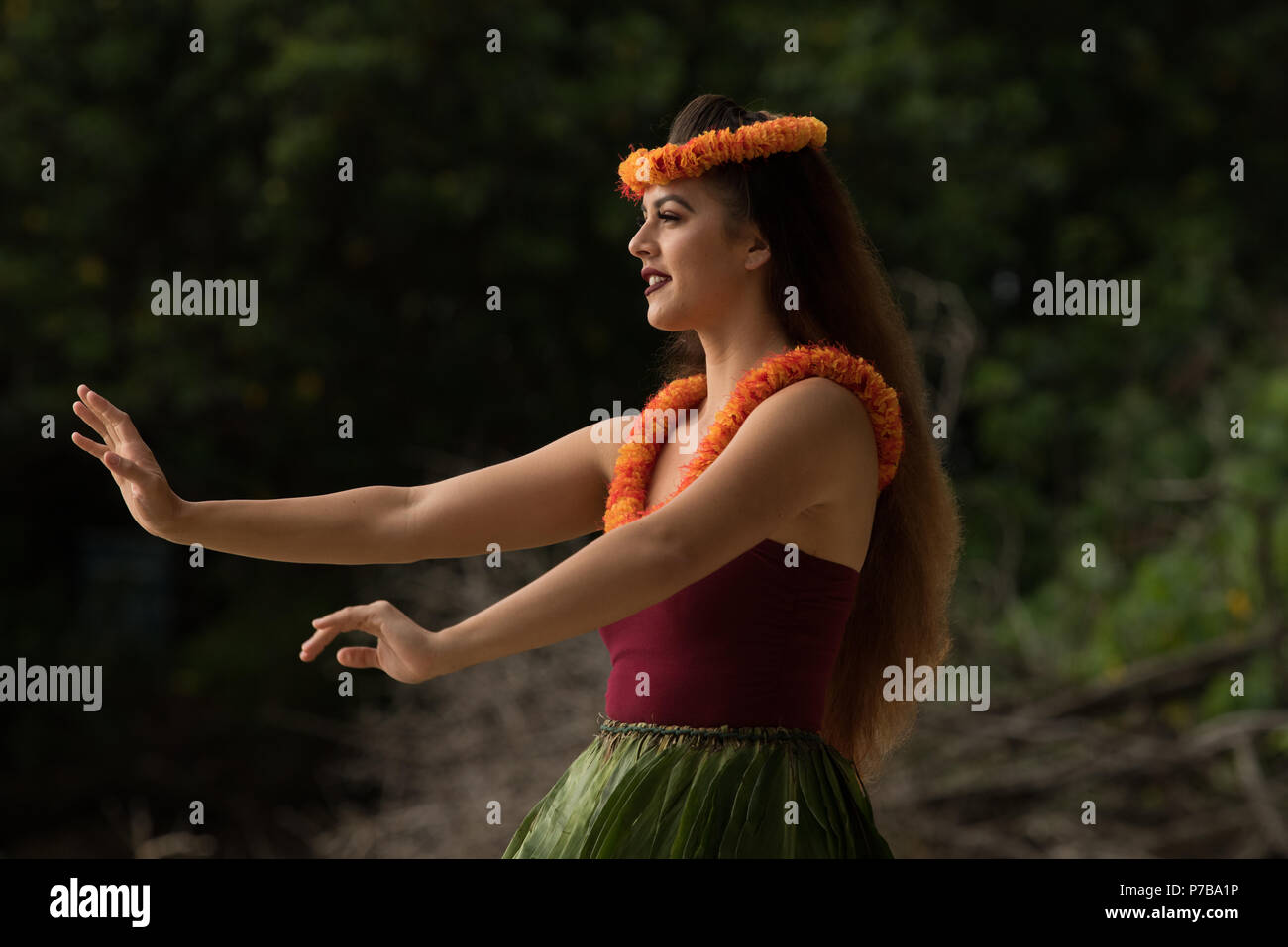 Hawaii Hula Tänzer im Kostüm tanzen Stockfoto