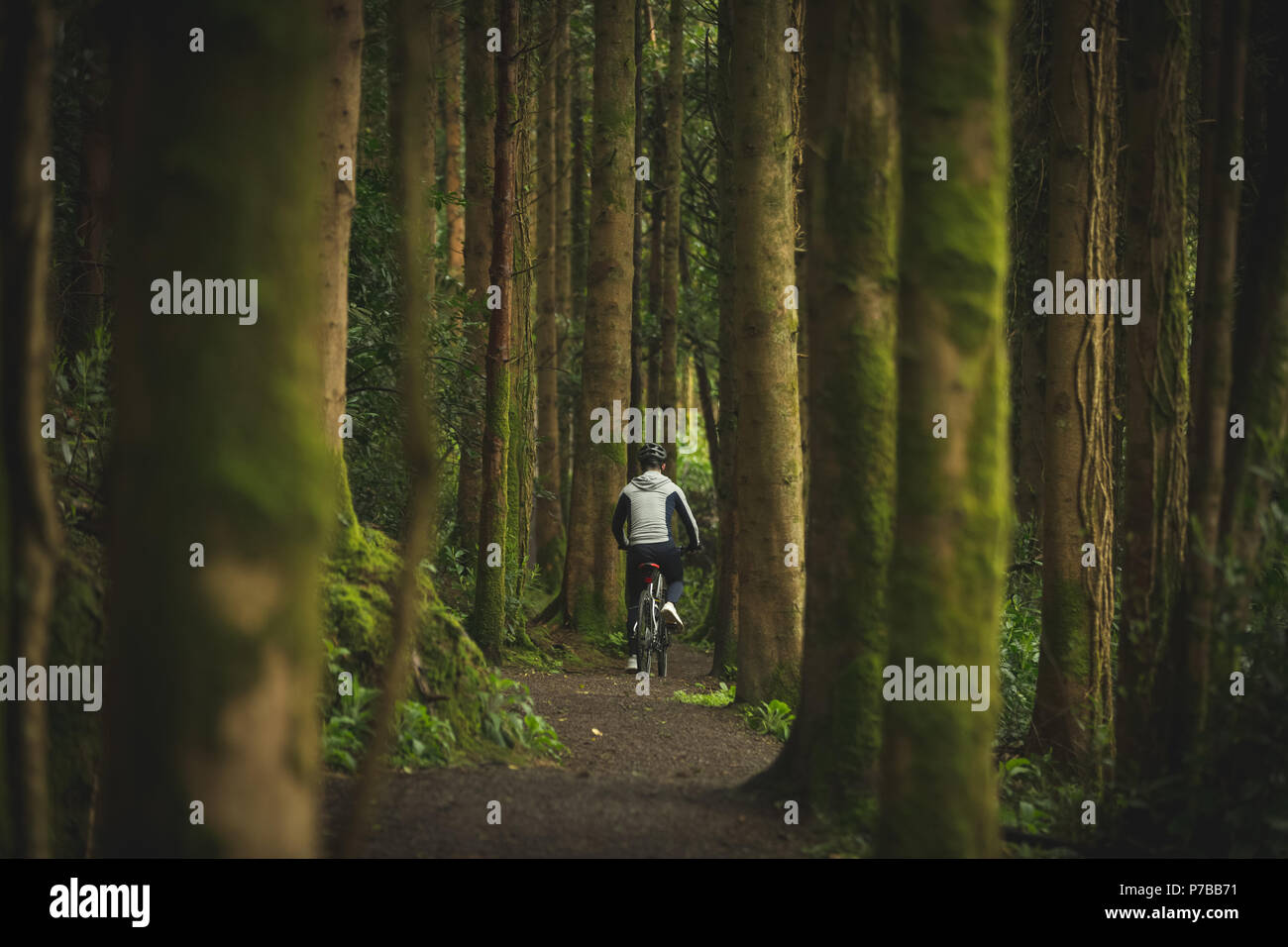 Radfahrer reiten Fahrrad durch üppigen Wald Stockfoto