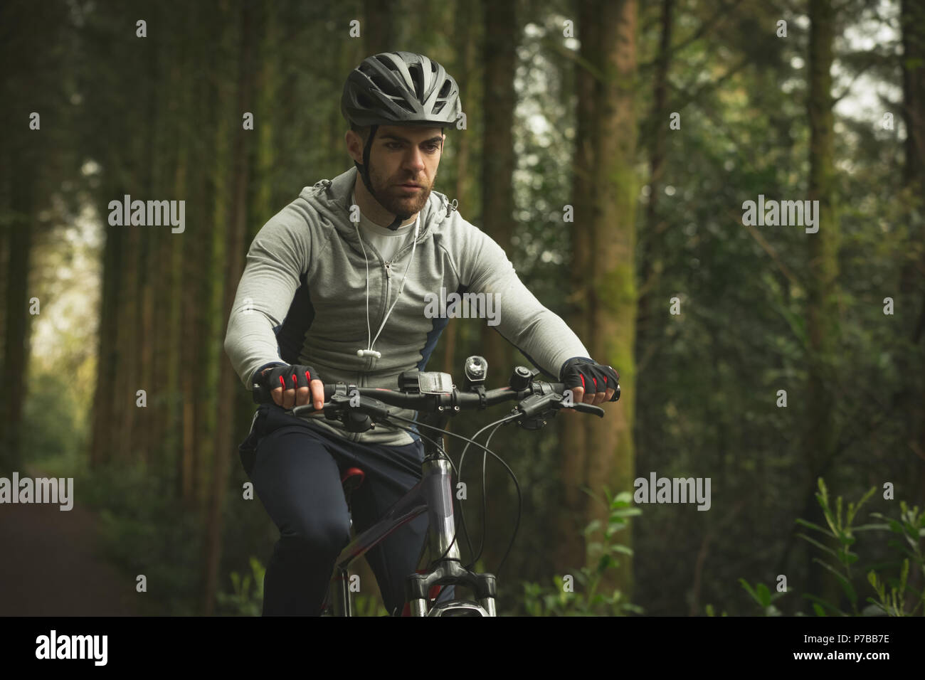 Radfahrer reiten Fahrrad durch den Wald Stockfoto