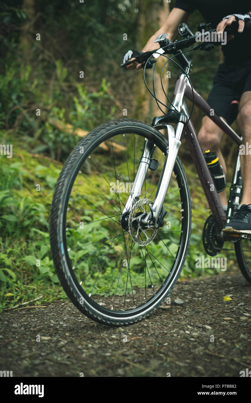 Radfahrer reiten Fahrrad durch üppigen Wald Stockfoto