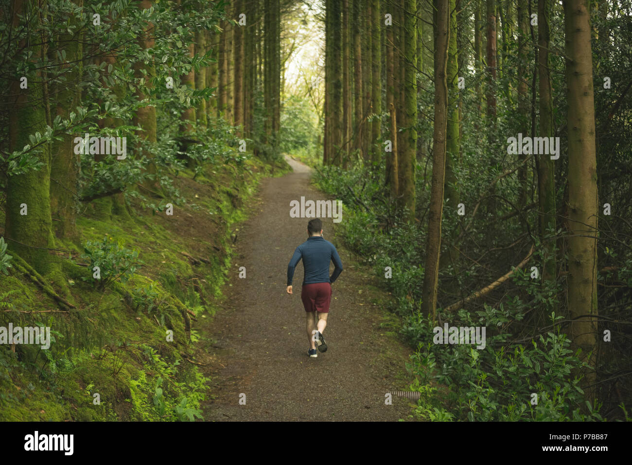 Man joggen in üppiger Wald Stockfoto