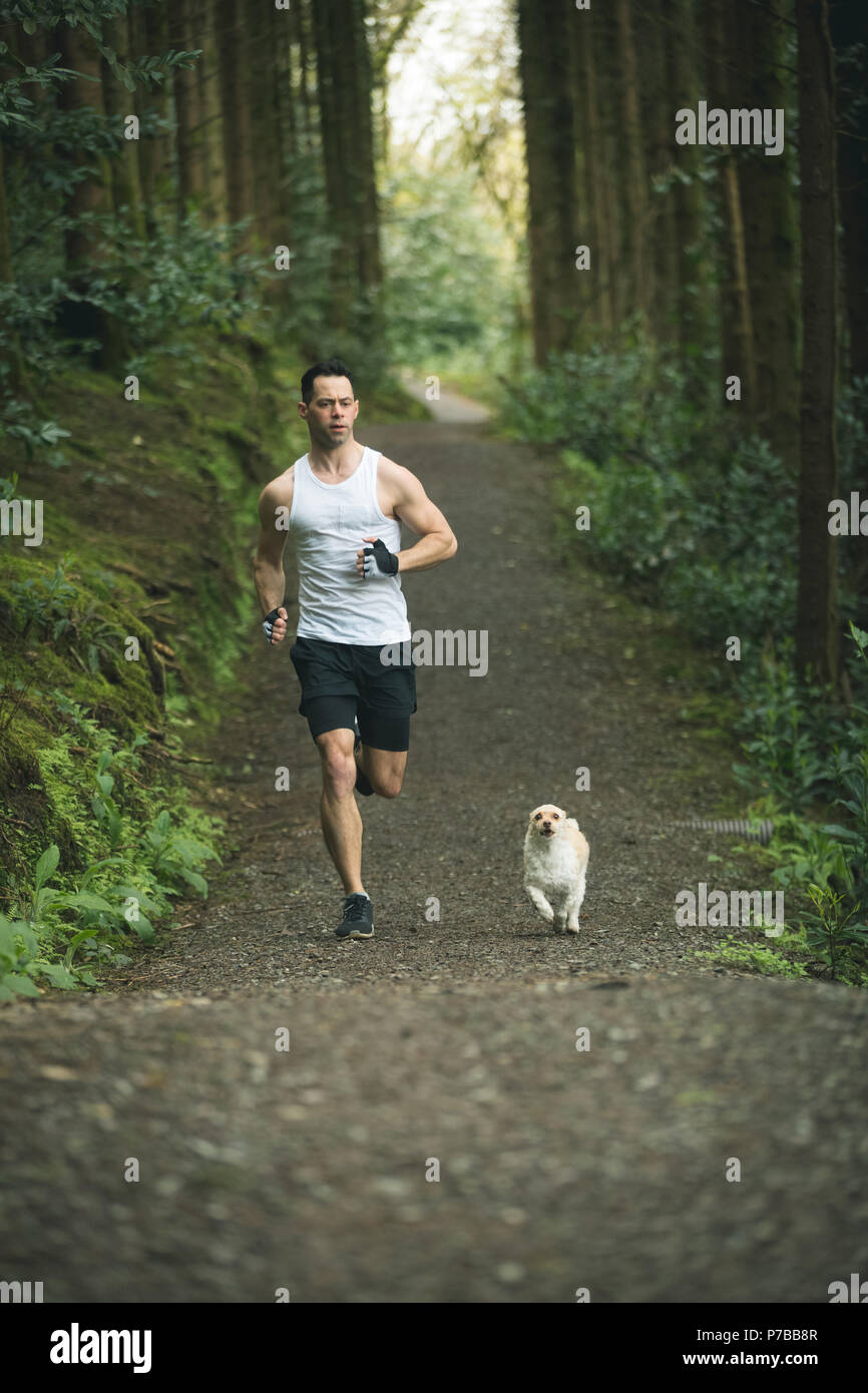 Man joggen mit seinem Hund in üppiger Wald Stockfoto