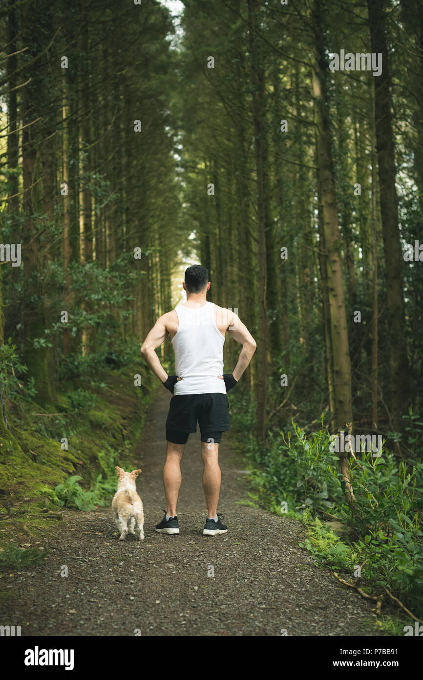 Mann, der mit seinem Hund in üppiger Wald Stockfoto