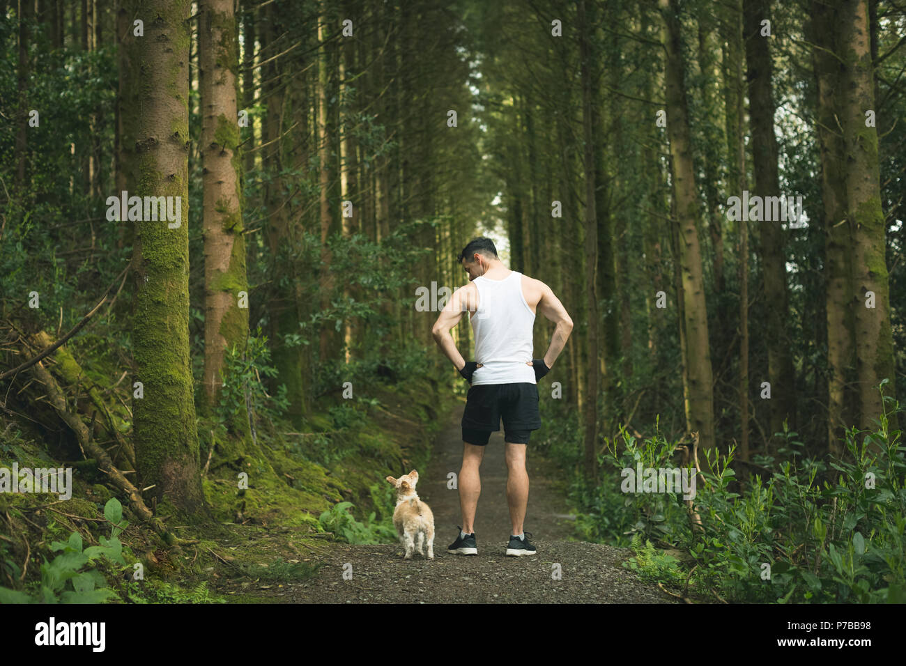 Mann, der mit seinem Hund in üppiger Wald Stockfoto