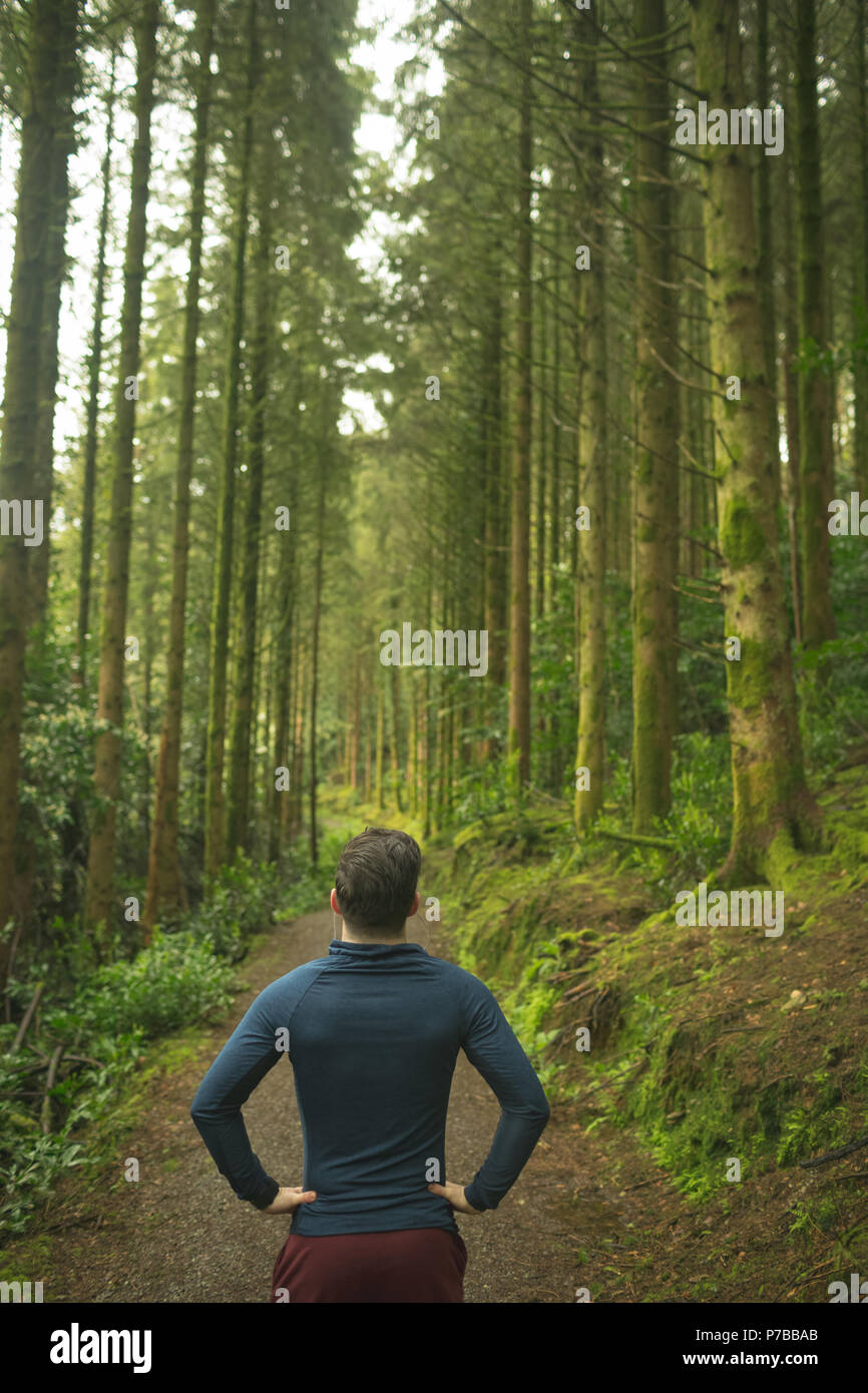 Mann in üppiger Wald Stockfoto