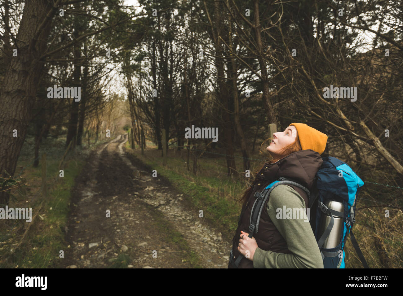 Weibliche Wanderer mit Rucksack um das Suchen im Wald Stockfoto