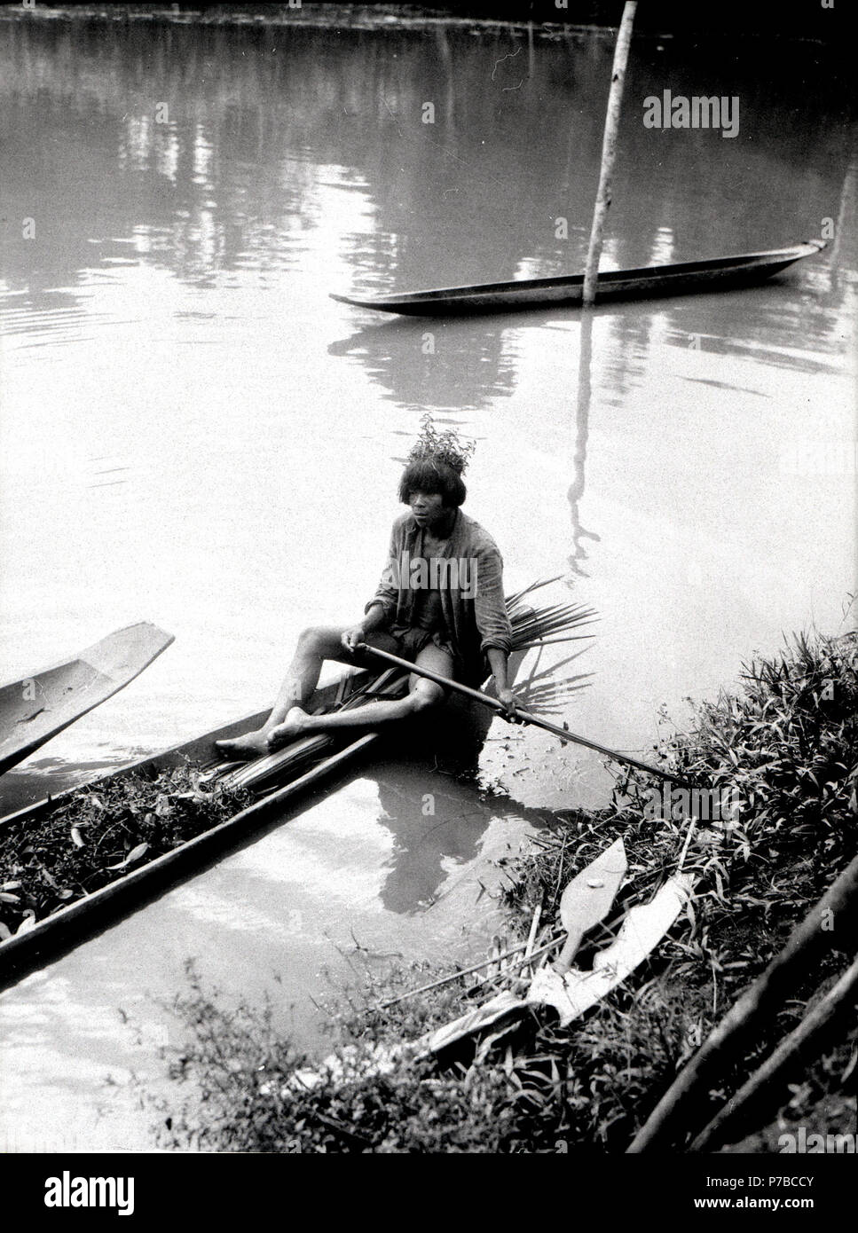 231 Ynglingen Camilo har hämtat Sjö från urskogen bis en fest ich Selimos hydda - SMVK - 004025 Stockfoto
