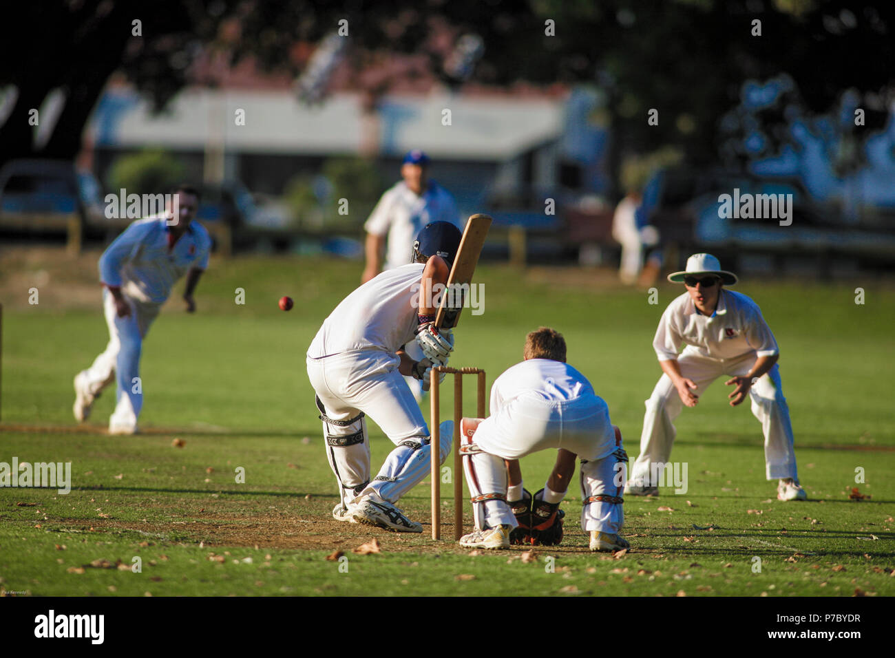 Menschen spielen Spiel des Krickets im Victoria Park in der Innenstadt von Auckland, Neuseeland Stockfoto