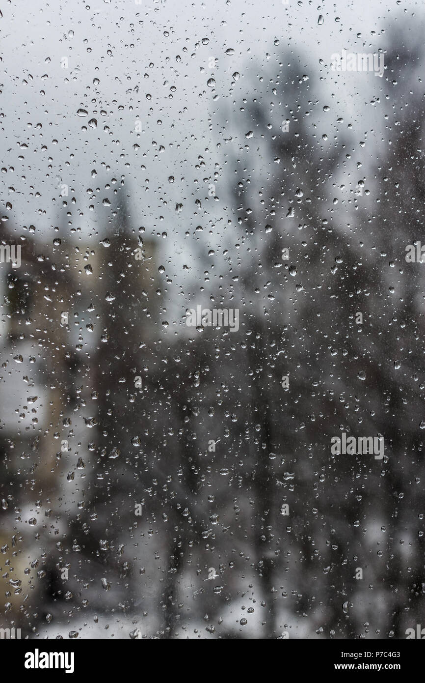 Regentropfen auf Fenster mit Baum Hintergrund. Schnee und Regen Wetter. Bubble Hintergrund. Regen fällt auf Glas. Stockfoto